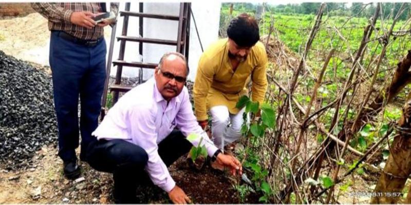 वृक्षारोपण